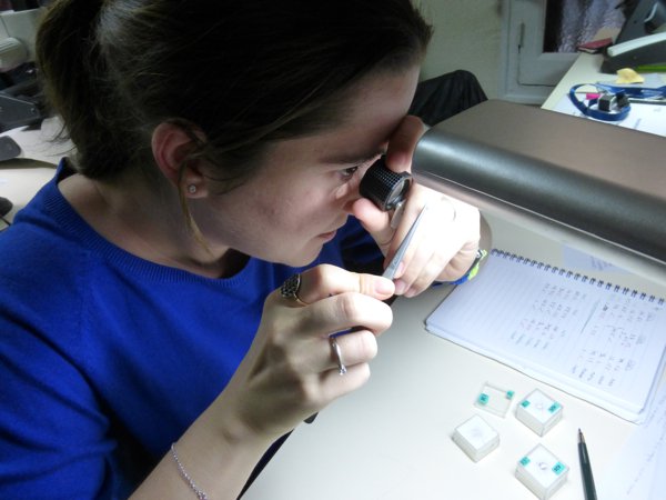 Jornada trabajo HRD 2016.